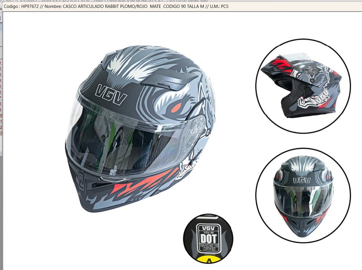 Casco Articulado 