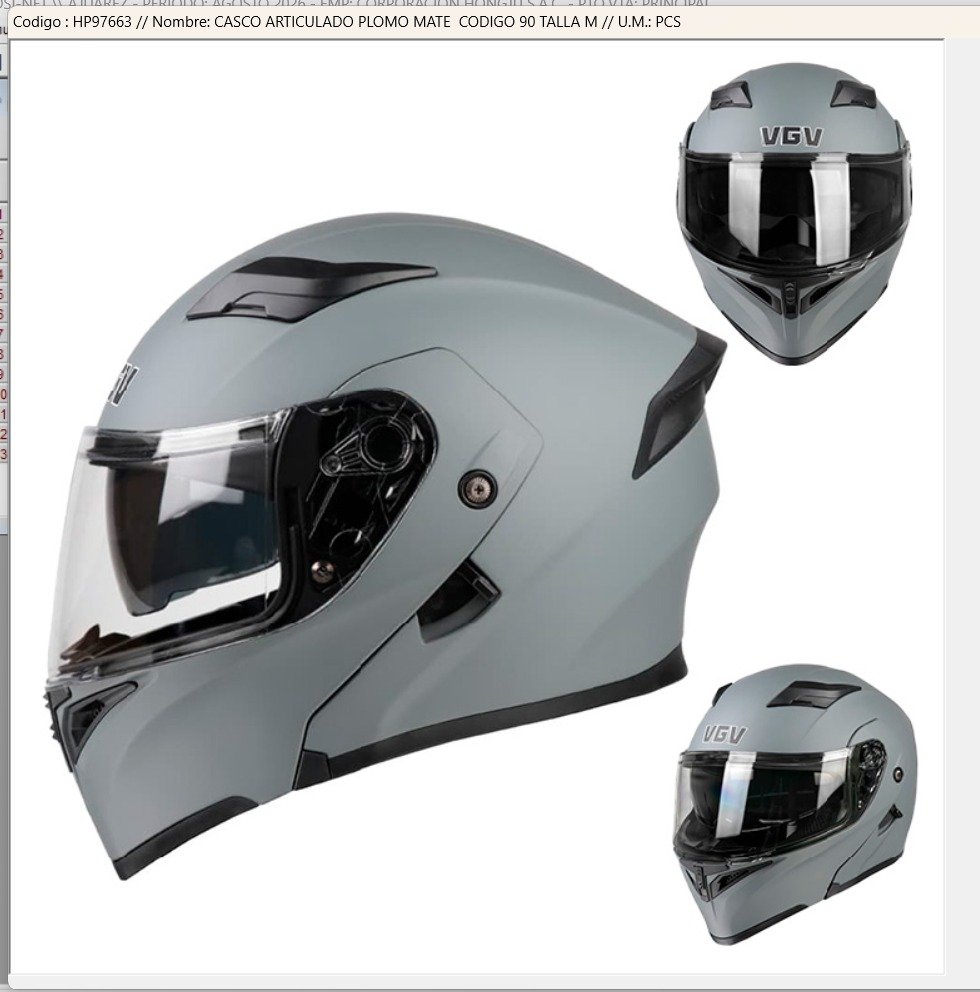 Casco Articulado 