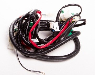 Ramal electrico delantero 